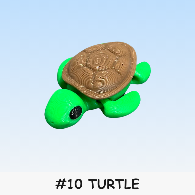 #10 Micro - Turtle