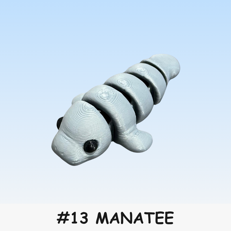 #13 Micro - Manatee