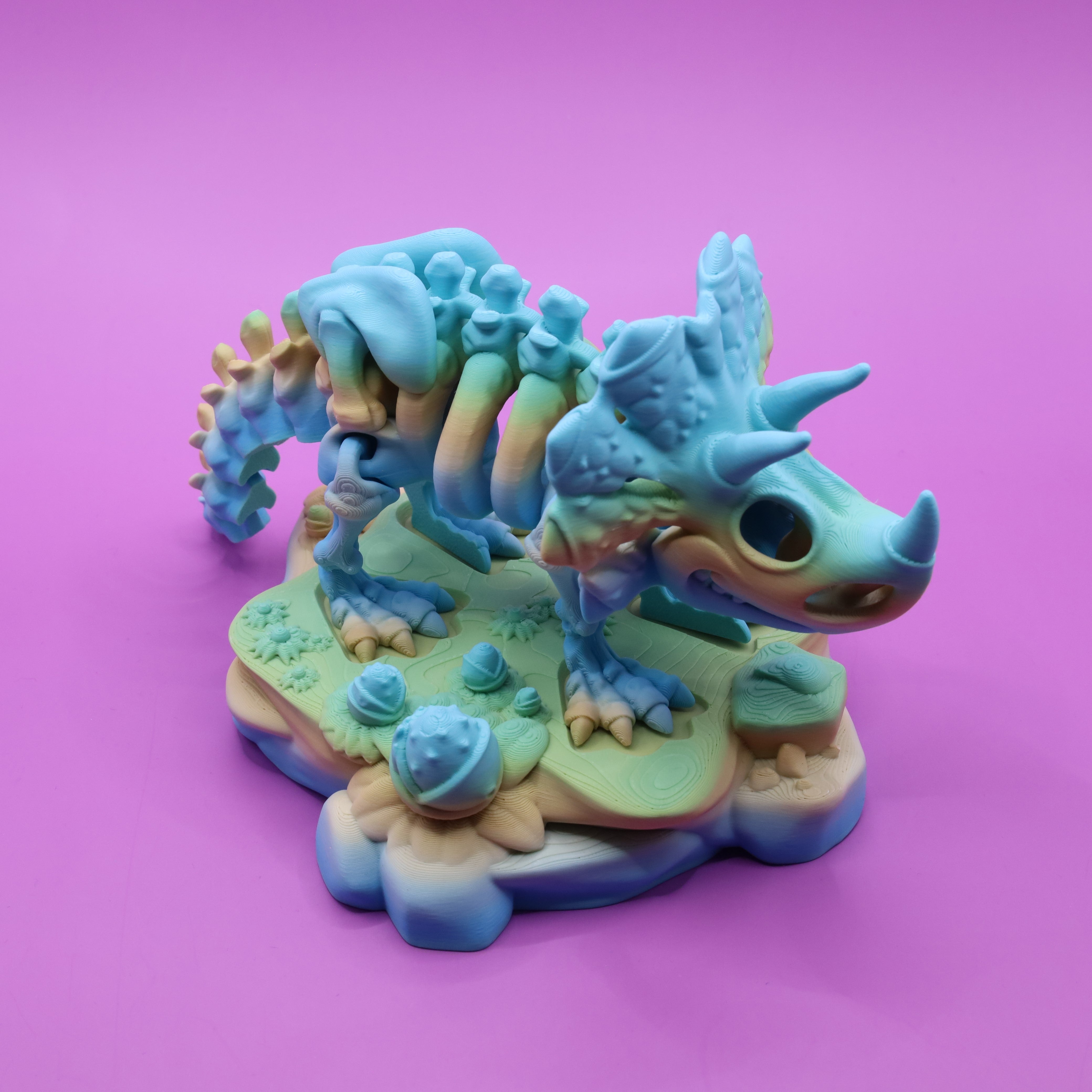 Skeleton Triceratops