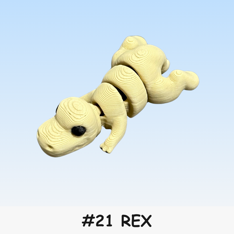#21 Micro - Rex