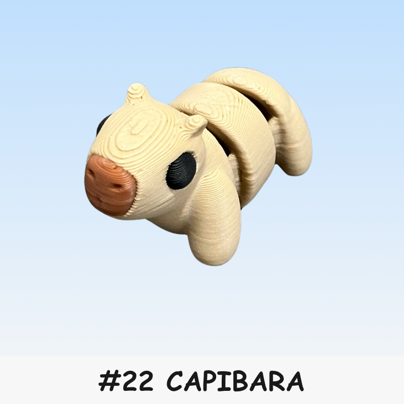 #22 Micro - Capibara