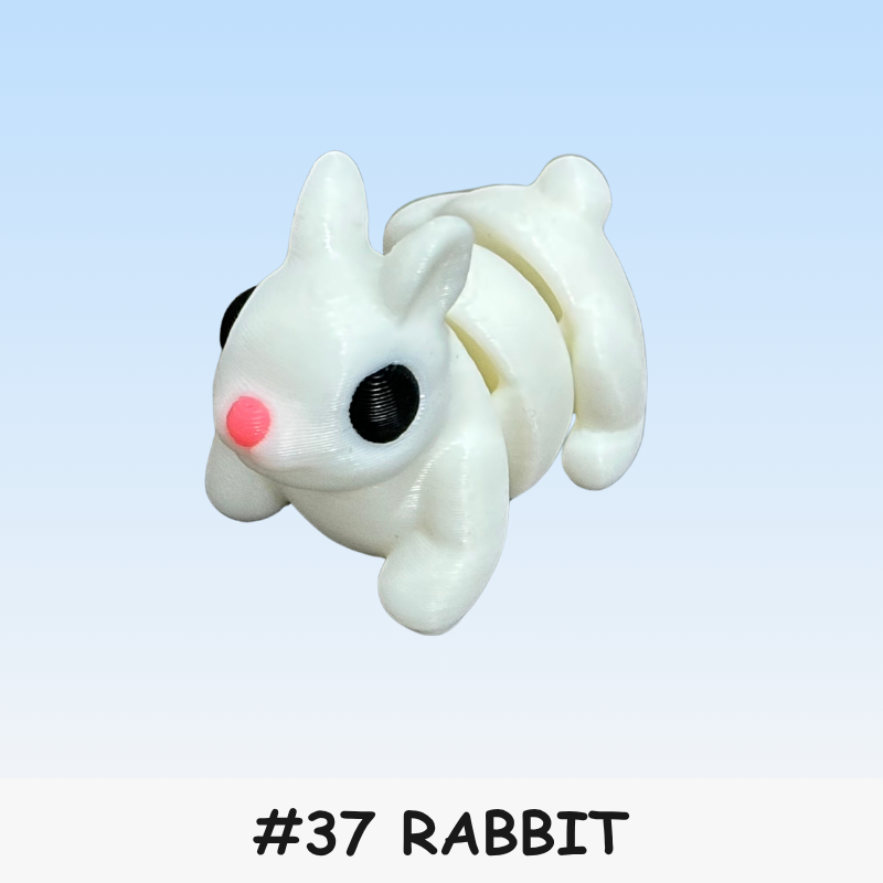#37 Micro - Rabbit