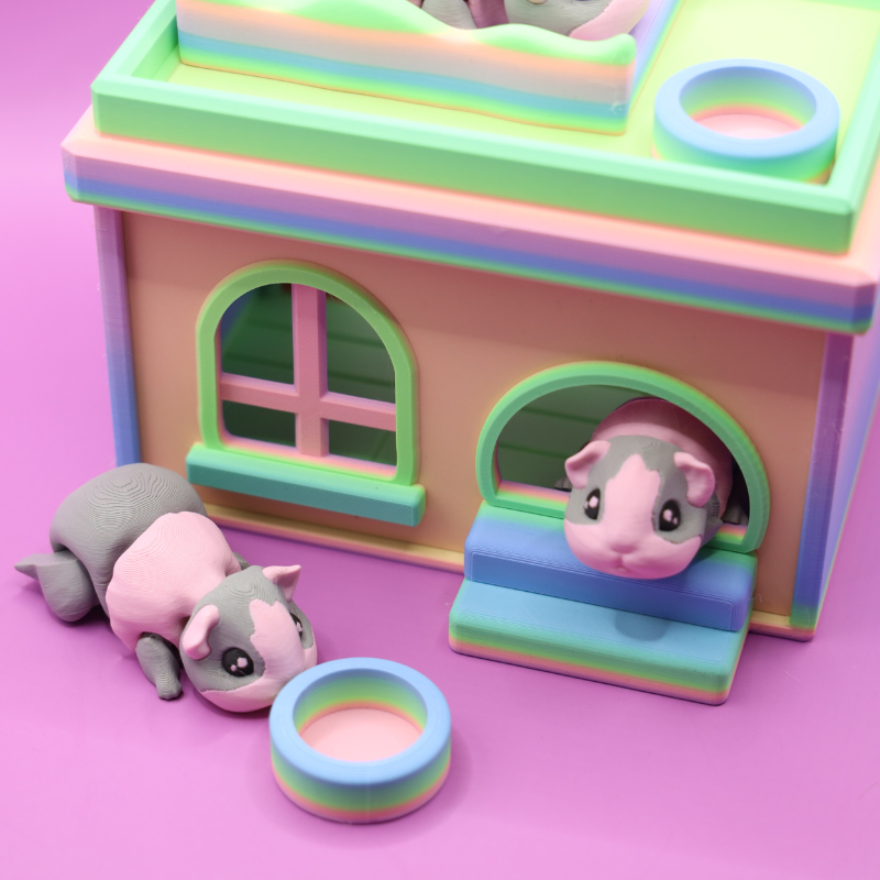 Guinea Pig House