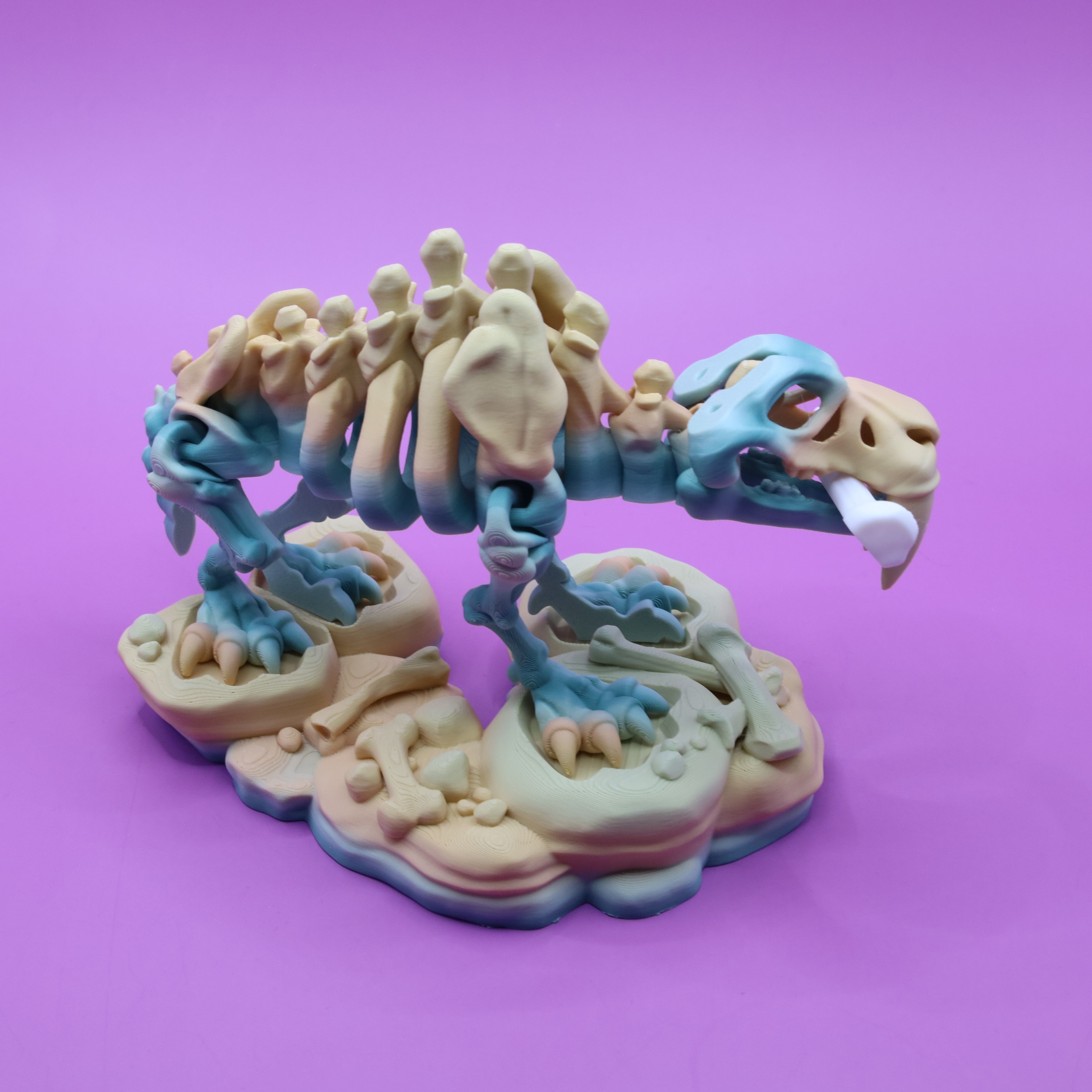 Skeleton Saber-Tooth Tiger