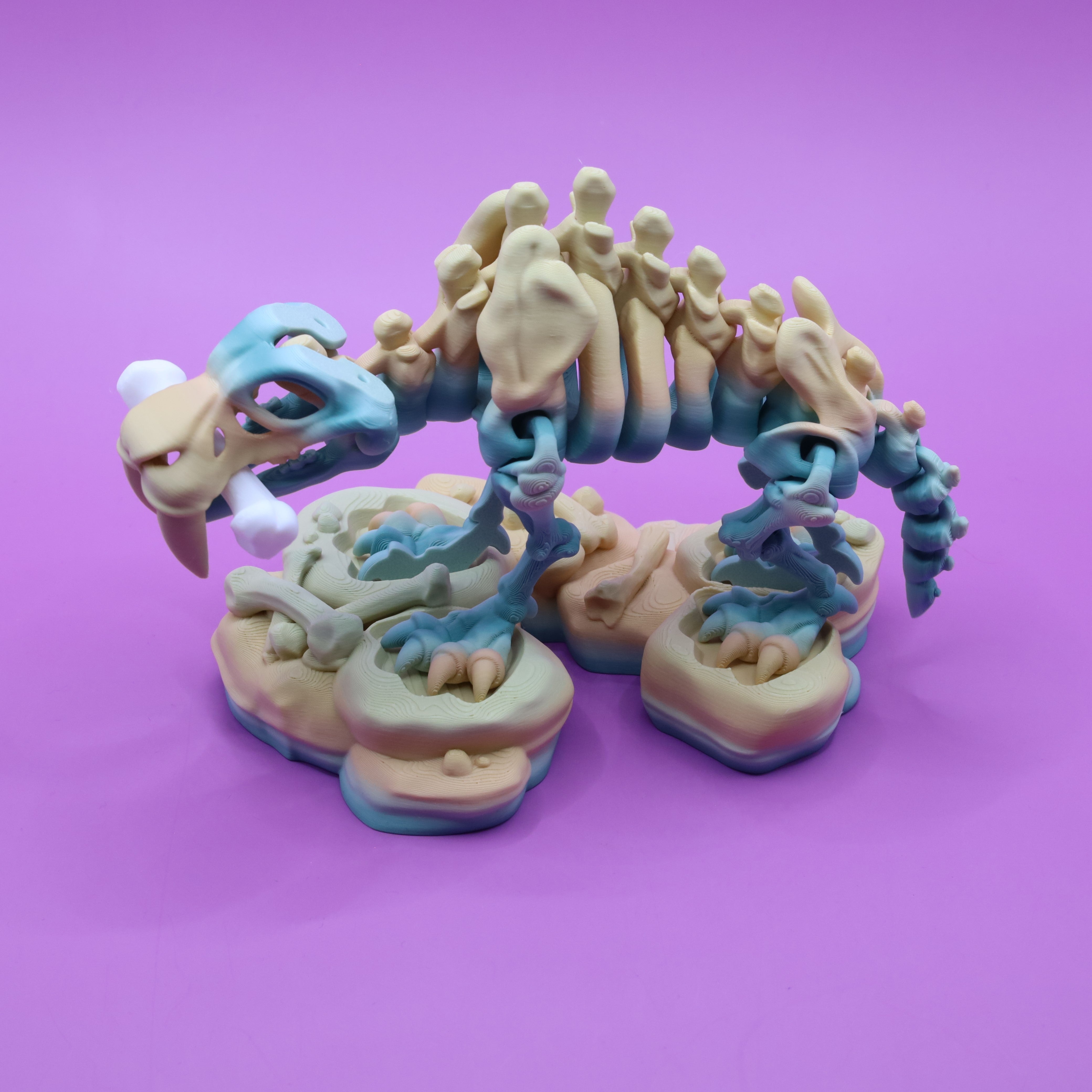 Skeleton Saber-Tooth Tiger