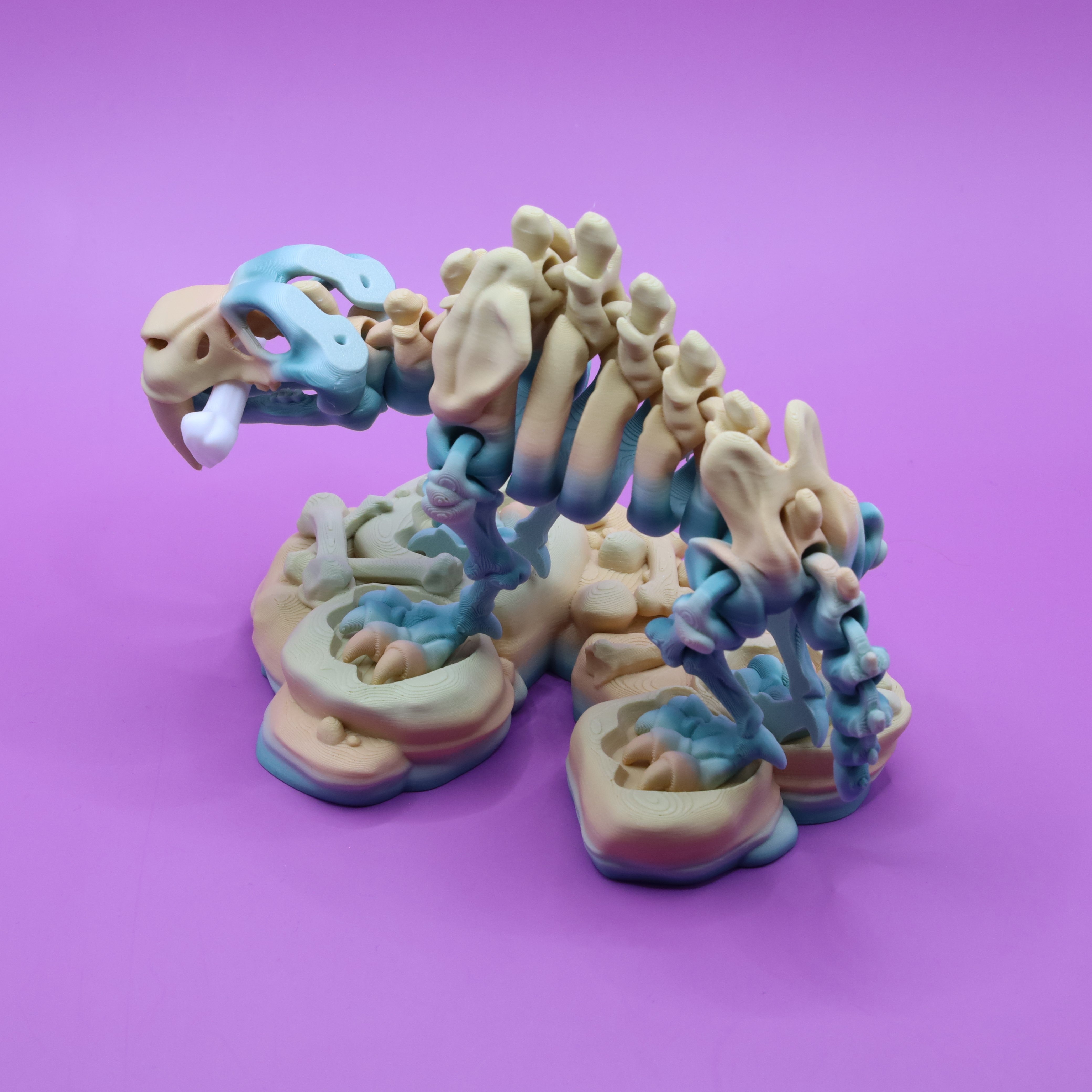 Skeleton Saber-Tooth Tiger