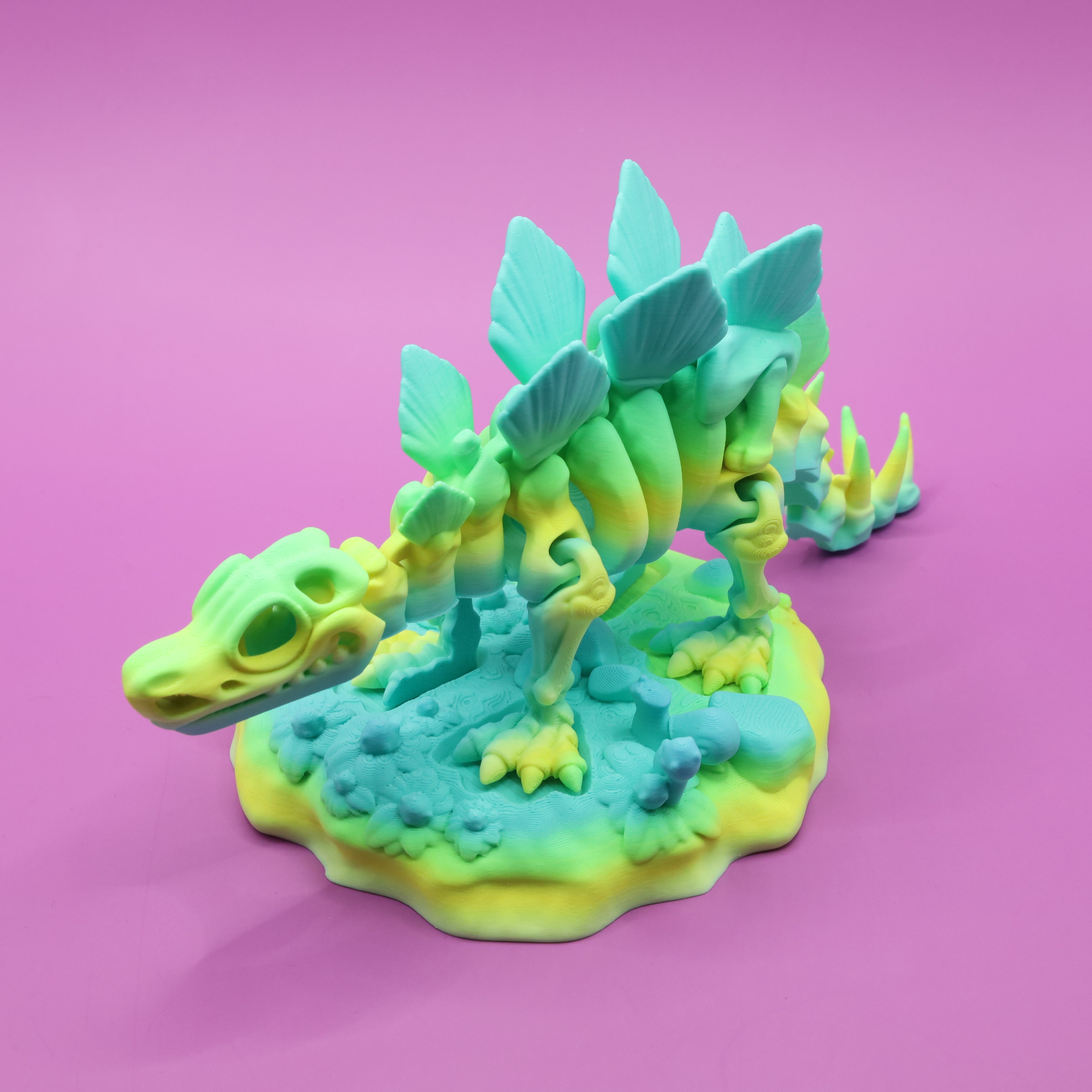 Skeleton Stegosaurus