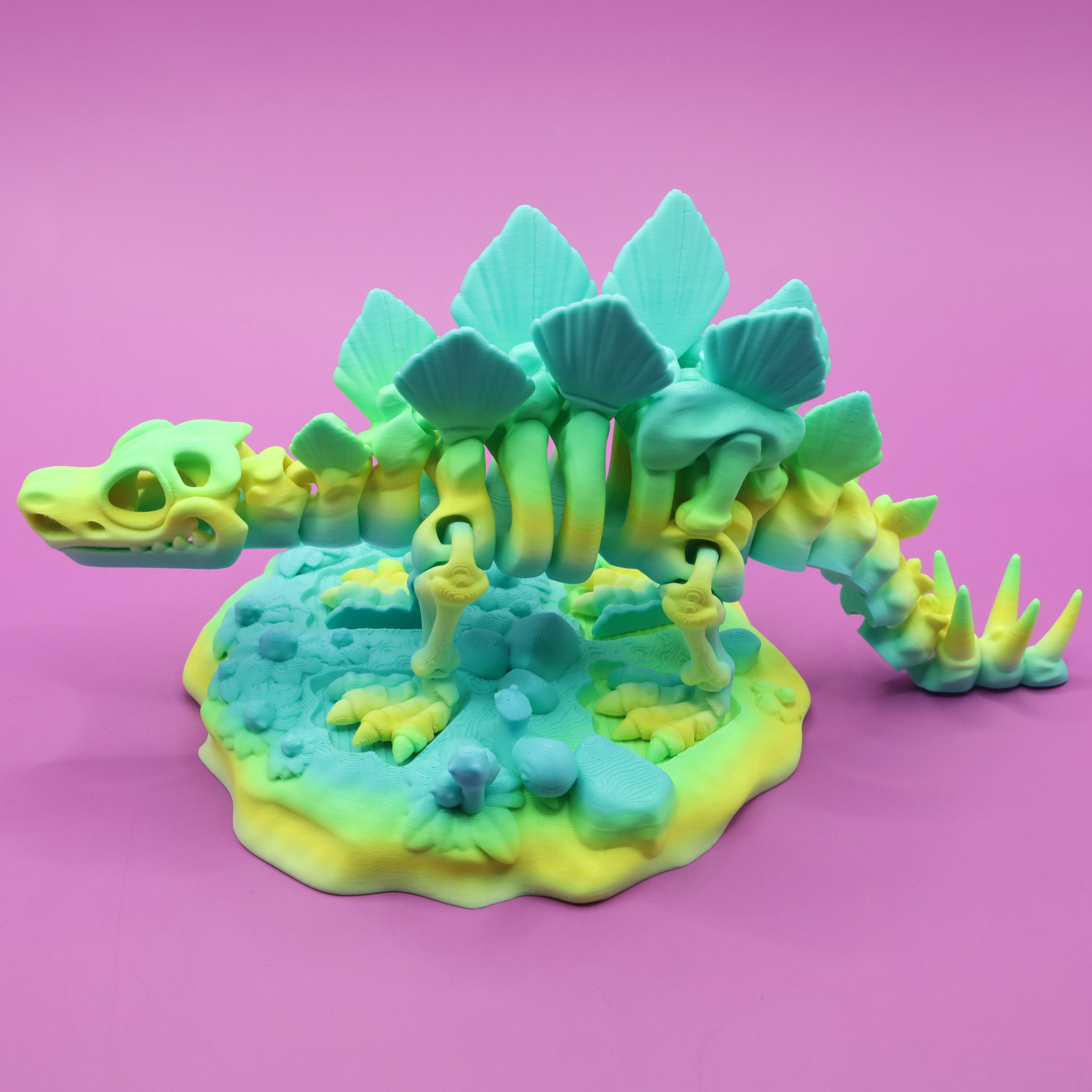 Skeleton Stegosaurus