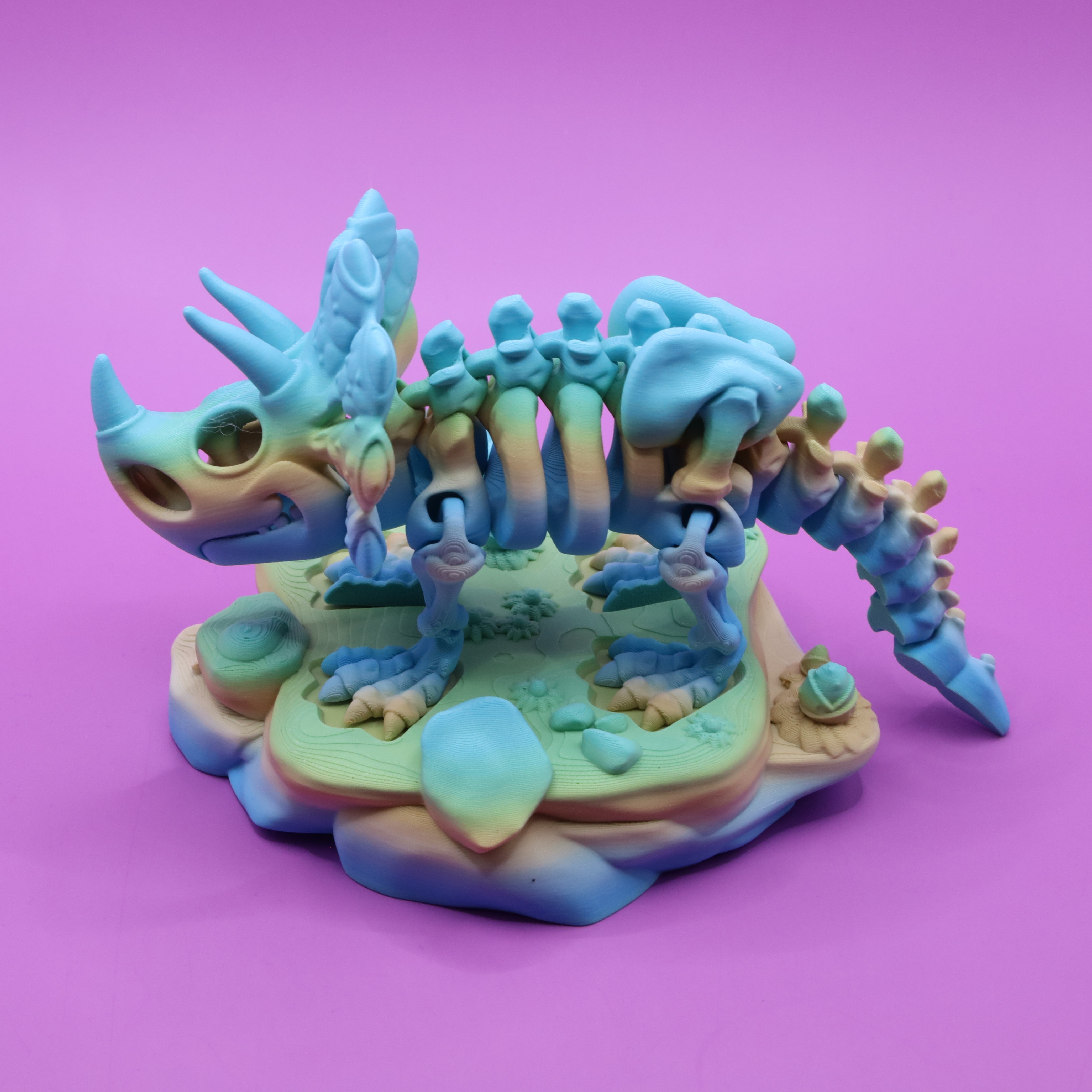 Skeleton Triceratops